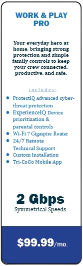 work and play pro plan